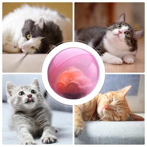 Juguete automatico para gatos de interior con juegos de luces 5