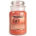 Village Candle Empower Large Apothecary Jar Candle, 21.25 Oz, Traditions Collection, Orange