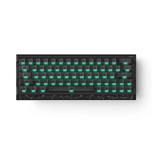 Amazon | IQUNIX ゲームキーボード EV63 RGB 照明設定 メカニカル 64