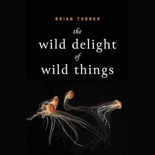 Page de couverture de The Wild Delight of Wild Things
