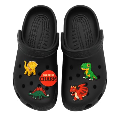 Image of BABOLE 5 Pcs Pack Shoe Charms For Decoration Clogs Sandels Multicolour