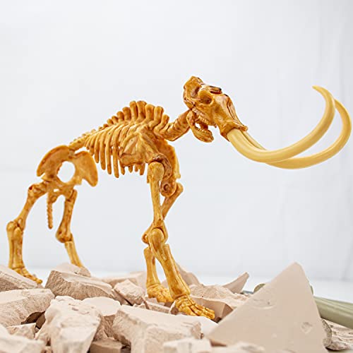 Science4you Mammut Dino Ausgrabungsset Kinder +6 - Archäologie Set Für Kinder mit 17 Teilen, Grab Dein Dinosaurier Spielzeug - Experimentierkasten, Kinder +6 Jahre – Bild 6
