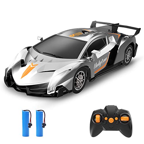 Holyton Remote Control Car 2.4GHz RC Cars for Kids and Toddler, 1/18 Scale Model Electric Vehicle with LED Lightning, 2 Rechargeable Batteries, Fast Car Toys for Boys and Girls, Color Silver