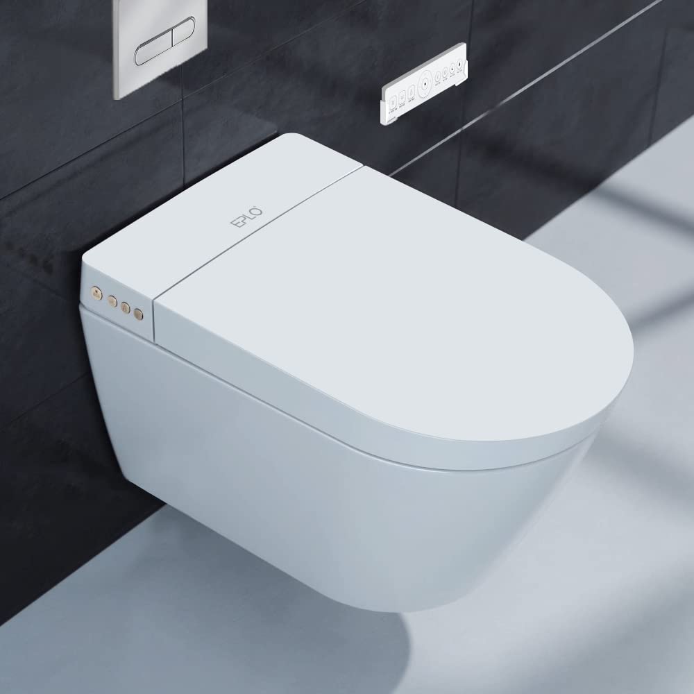 9 Best Wall Hung Toilet | True 500lb Capacity In-Wall Carrier