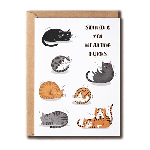 SNHDesign Sending You Healing Purrs Card - Cute Cat Card - Cat Lovers Card - Get Well Soon Card - Support Card - Lovely Card - Feel Better Card - Blank Card