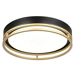 12.5 Inch LED Flush Mount Ceiling Light Fixture, 26W, Super Bright 1700 Lumens, 3 Color 3000K/4000K/5000K, Dimmable Ceiling Lamp for Bedroom Hallway Bathroom Kitchen Laundry (Black Gold)