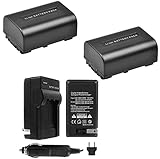 NP-FV50 Battery 2-Pack Bundle with Rapid Travel Charger and UltraPro Accessory Kit for Select Sony Cameras Including HDR-XR150, HDR-XR160, HDR-XR260V, HDR-XR350, and HDR-XR550