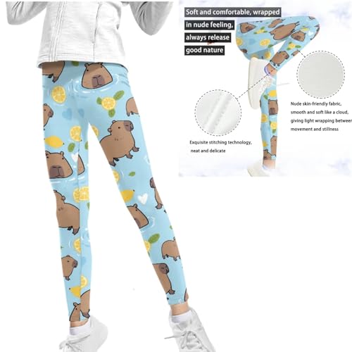 Kid Girls Clothes - 2Piece Capybara Tops and Leggings Pants Long Sleeve Sweatshirts Pants Fall Outfits,4-8Years4