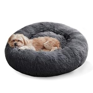 Western Home Hundebett Run, Katzenbett Flauschig, Hundekissen Kleine Hunde,Hundebett Waschbar,Hundekorb,Katzenkorb Zum Schlafen 60 cm,Dunkelgrau