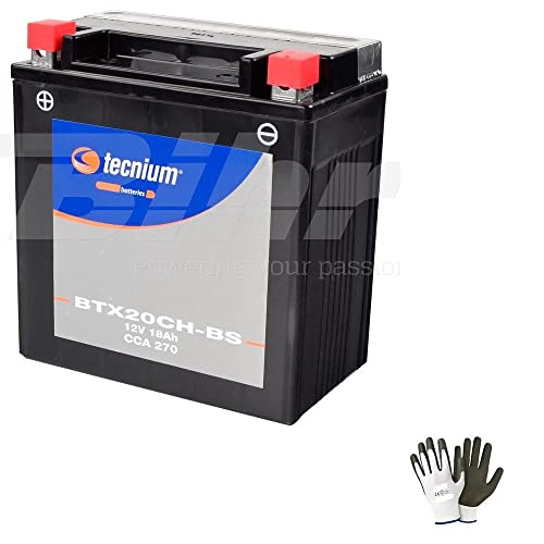 COMPATIBILE CON Moto Guzzi Stelvio 1200 8V STD/NTX 2011 A 2016 BATTERIA GIA' PRONTA ALL'USO TECNIUM BTX20CH-BS BATTERIE 18 AMPERE 12 VOLT AVVIAMENTO PER MOTORE SPECIFICA MOTO SCOOTER