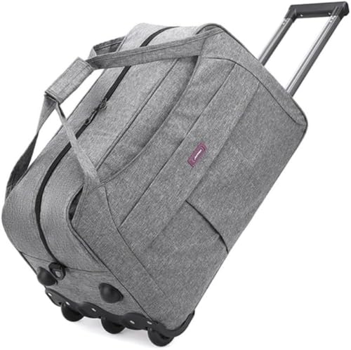 [Zxyler] @݃X[cP[X LX^[t IbNXtH[hf yʑϏՌ e V[p (S,O[)