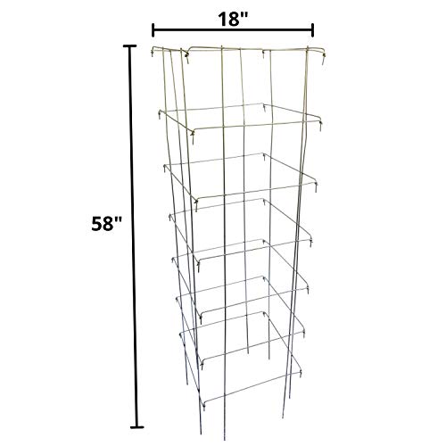 "Happy Trees Tomato Cages (3-Pack)" - Image 4