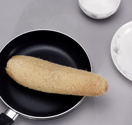 yVofuxozVRw`} w`}X|W 킵 {fBX|W {fBuV V[uV C H _炩 ʋC g₷ {fBPA Lb`pi M p Fi2 j(15-20cm)