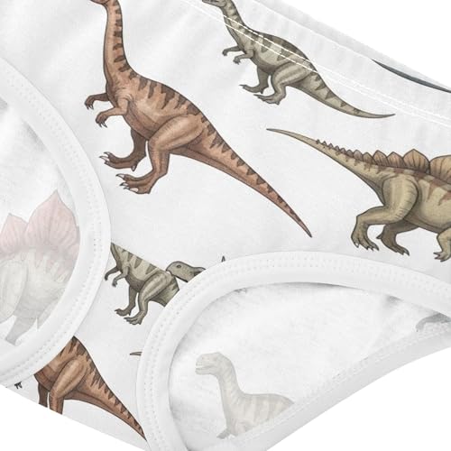 Toddlers Underwear Floral 2t Cotton Cute Panties Girl Animals Briefs Kids Undies Vintage Brown Blue Dinosaurs White4