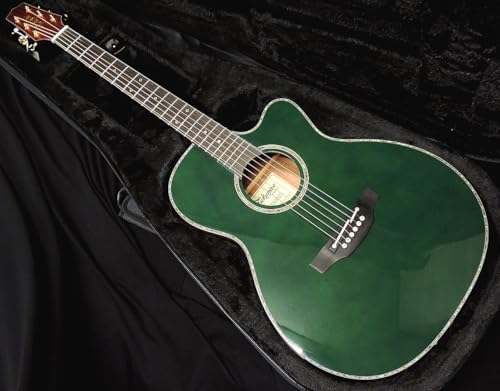 Takamine LTD2025 AEG Antique Evergreen ^J~l AR[XeBbNM^[ GAR V^vAv CTF-2N  AeB[N Go[O[ ^J|WV}[N 2025Nf
