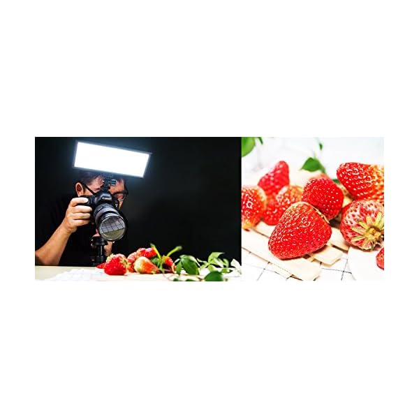 VILTROX L132T 3300K~5600K LED Videoleuchte Dimmable Panel Licht LED für DSLR Kamera mit NP-F550 Akku und USB Ladegerät – Bild 7