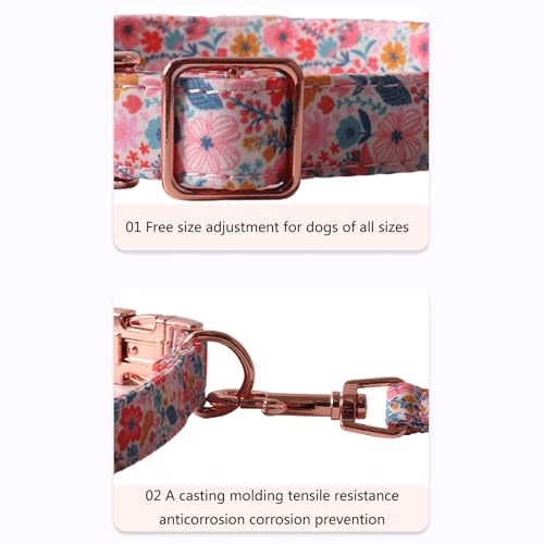 Collier pour chien avec laisse et nœud fleur chic