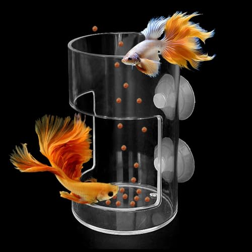 Dbeans Flourithing Fish Feeder Orbicular Automatic Fish Feeders Reduced Filter Clogging Tank Suitable for All Kinds of Food Tank Accessories