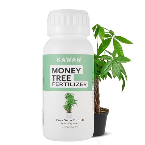 V-MOD 300 ml Glückskastanie Dünger, Bio Flüssigdünger für Geldbaum (Pachira Aquatica), für Üppiges Wachstum & Gesunde, Glänzende Blätter | Ideal für Zimmerpflanzen