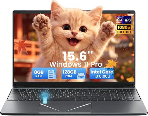 Kayoote Computer Portatile 15.6 Pollici, Processore i3-6100U Laptop Business, 8GB