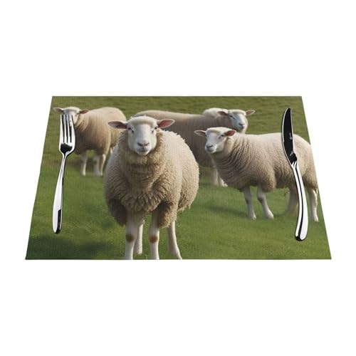 Sets de table en PVC lavables lot de 4 design mouton 45x30 cm - 5