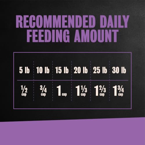 Cesar Small Breed Dry Dog Food, Filet Mignon & Spring Vegetable, 5 lb - image 7