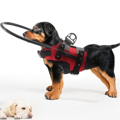 Pettorina per cani ciechi – Anello anti-collisione per cani ipovedenti | Altezza regolabile e poliestere traspirante | 2 misure (S/M) | Anello in acciaio con imbottitura in schiuma | Per una maggiore