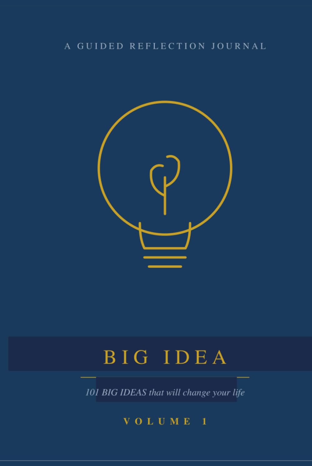 BIG IDEA: 101 BIG IDEAS that will change your life.