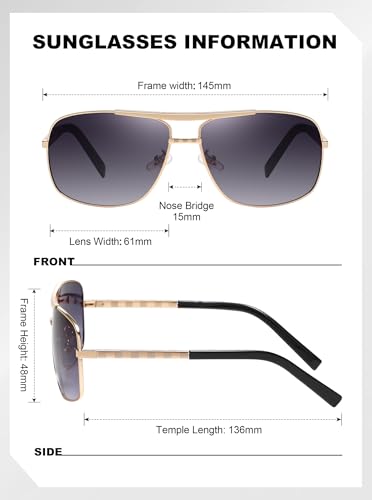 Image of Classic Sunglasses for Men Metal Frame with Spring Hinge (0256)