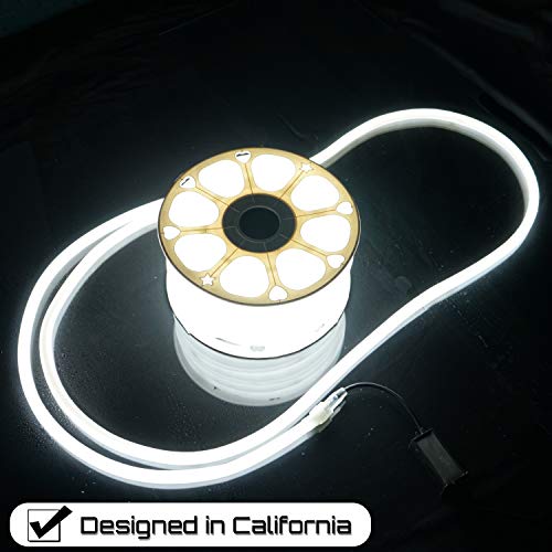 Russell Decor Led Neon Rope Lights Flexible (Cool White, 100 Ft) #TOP1