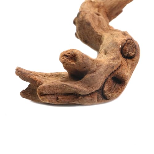 Image of 5Pcs Real Natural Driftwood for Aquarium, Aquarium Decor Wood Freshwater Fish Tank Reptile Driftwood Branch Length 3.93 inch to 5.9 inch