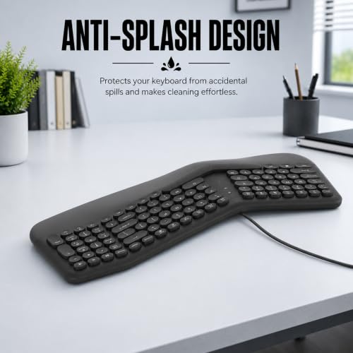 Image of ANT Master 70 Wired USB Keyboard, Full-Size 101-Key Computer Keyboard with FN + 12 Multimedia Shortcut Keys, Smooth Rubber Dome Keys, Anti-Splash Design, 5 Million Keystrokes, Windows & Linux Black