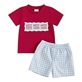 7月4日 幼児 男の子 アウトフィット アイスキャンデー アメリカ国旗 Tシャツとギンガムチェック柄ショーツセット 独立記念日の服, アメリカ国旗 赤, 18-24 Months