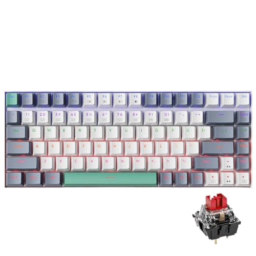 ���J�j�J���L�[�{�[�h TKL 84 RGB �o�b�N���C�g�L�� Machenike K500-B84 PC ���b�v�g�b�v PBT Doubleshot �L�[�L���b�v�ƌ݊�������(White Red switch)