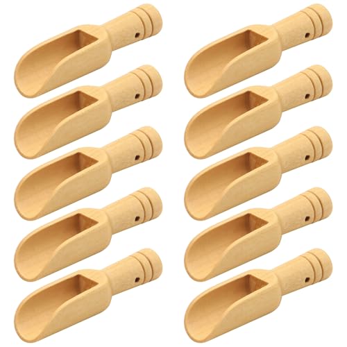 Hsthe Sea Mini Set Cucchiaio in Legno - Mini Cucchiaio da Bagno, Cucchiaio per Caramelle in Legno, Spezie al Miele, Zucchero, Gelato, Polvere Essenziale - Confezione da 10