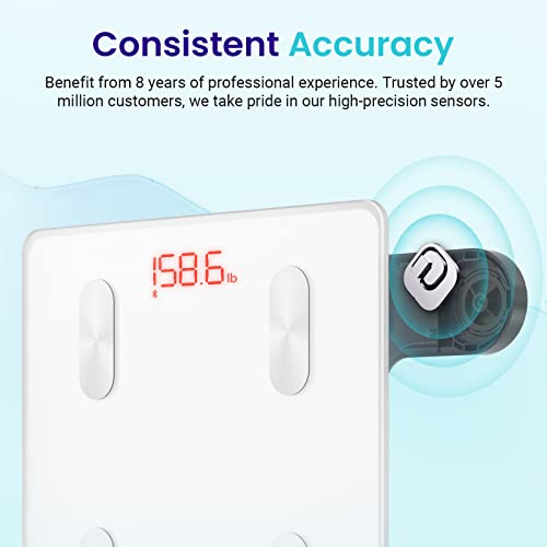 Etekcity Scales For Body Weight, Bathroom Digital Weight Scale For Body Fat, Smart Bluetooth Scale For Bmi, And Weight Loss, Sync 13 Data With Other Fitness Apps #TOP2