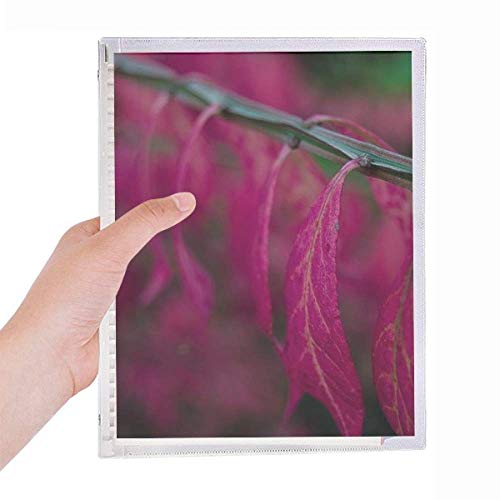 Carnet de photographie spirale rechargeable Red Leaf Nature pour notes