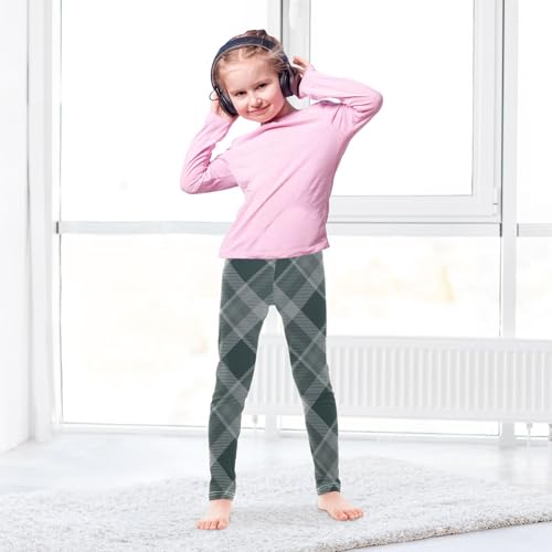 Gray Buffalo Plaid Tartan Check Scotland Green Checkered Girl Shorts Cotton Cartwheel Shorts Activewear for Performance4
