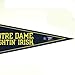 NCAA Notre Dame WCR37267671 Carded Classic Pennant, 12