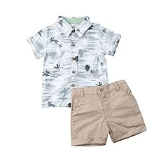 H-hawaii Coconut Tree