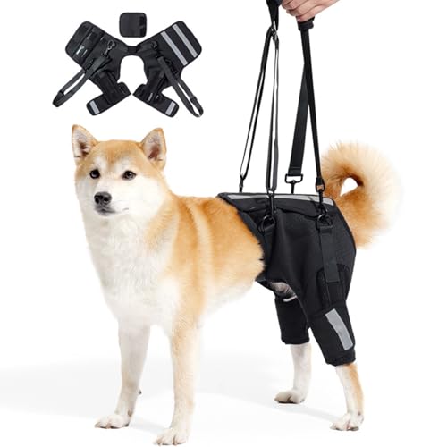 Harnais de Levage pour Chien,Harnais pour Chien Handicapé Pattes Arriere,pour Pattes Arrière avec Poignée Amovible et Cordon Réglable (S)