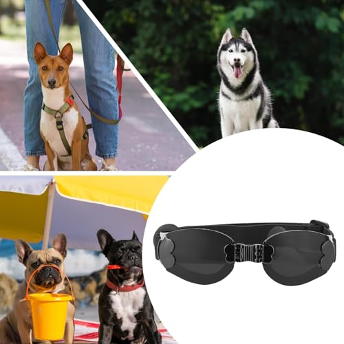 Schwimmbrille für Hunde, Größe M, UV-Schutz, verstellbarer Riemen, faltbar, Haustier-Sonnenbrille für Plateau, Langlauf, Laufen, Skifahren