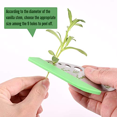 Herb Cutter Stripper 9 Holes-Stainless Steel-Kitchen Gadgets for Oregano, Rosemary, Thyme, Tarragon, Even Kale, etc.-Both Peeling and Cutting-1 Pack