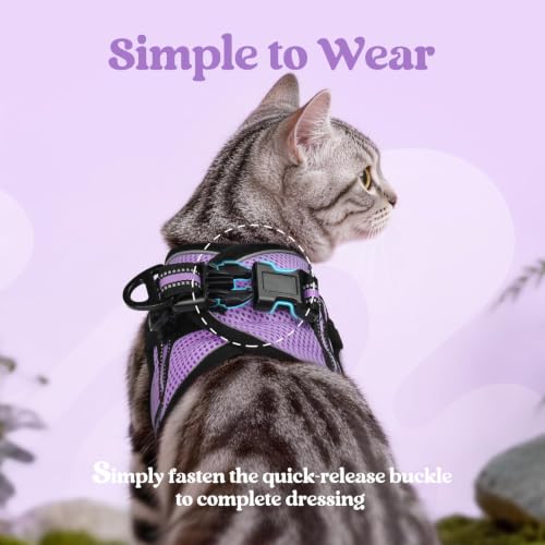 Image of rabbitgoo Cat Harness and Leash Set, Step-in Soft Vest, Light Purple | Escape Proof, Lightweight, Easy-on & Adjustable, Hook & Loop with Buckle, Reflective, for Small Cats Walks, XL