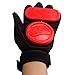Andux Adult Longboard Downhill Slide Gloves Upgraded with 2 Slider Pucks HBST-05