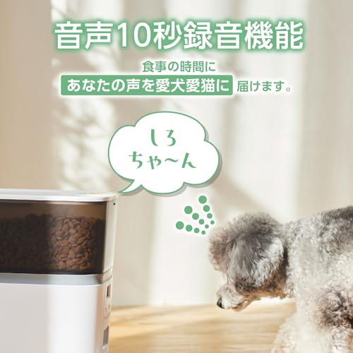 エレコム(ELECOM) エレコム 自動給餌器 猫 中小型犬用 6L PET-AF02WH の商品画像 3