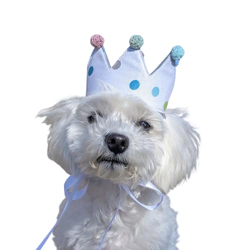 Personalisierte handgemachte Hundekrone - Individuelle Krone für besondere Anlässe, Klein, weiß mit bunten Punkten