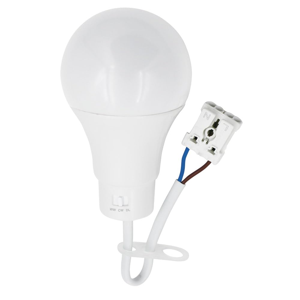 NCC-Licht 10 x lampa LED do renowacji 10 W, CCT regulowana barwa światła, wytrzymała obudowa z żarówką i zaciskiem wtykowym, oświetlenie robocze na strych i piwnicy