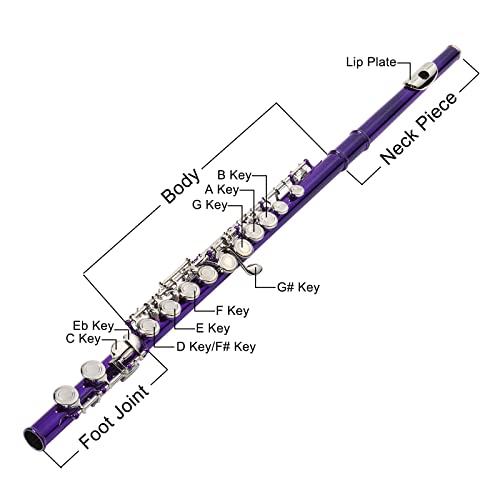 Ktaxon C Closed Hole Flute 16 Keys Flutes Kit For Students, Professionals & Beginner, Orchestra Musical Nickel Flute With Hard Case, Cleaning Rod, Cloth, Gloves (Purple) #TOP1