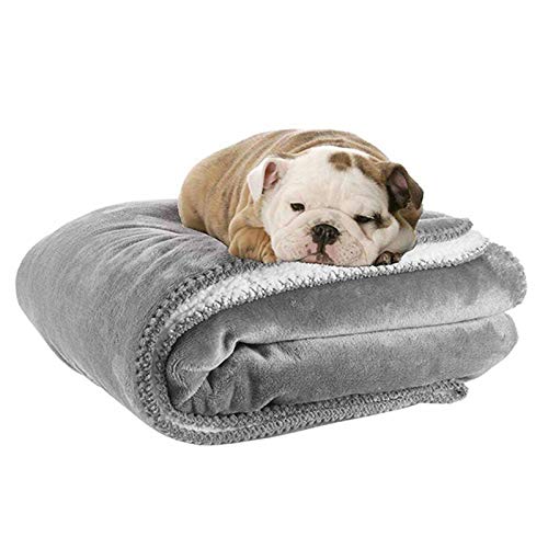 Vejaoo Hundedecke Wasserdicht, Hundedecke Grosse Hunde Bequemes und Warmes Waschbares Sofakissen XZ036 (75 * 100CM, Grey) Cover